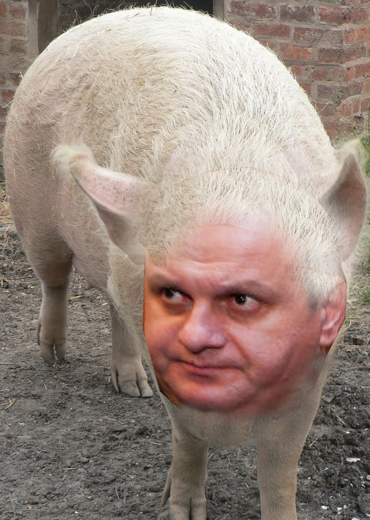 Bigpig.jpg