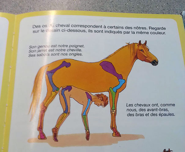 31a84445348604d476ed44b807145c7c.jpg