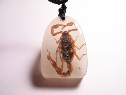 scorpion_necklace_5_large.jpg