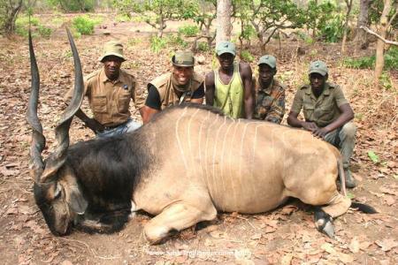 lord_derby_eland4.jpg