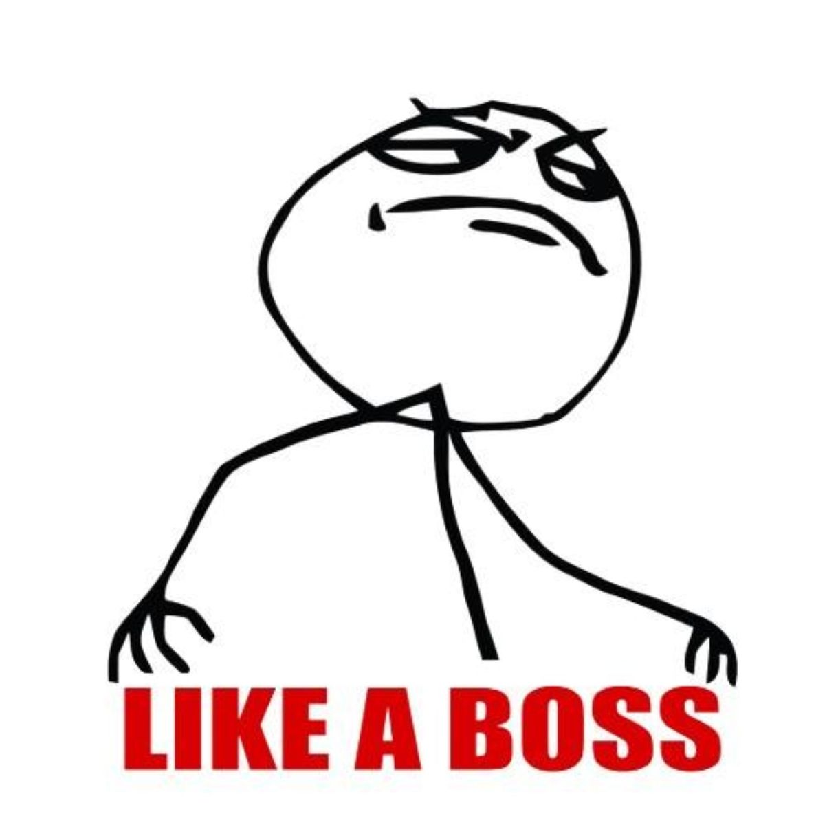 like_a_boss.jpg