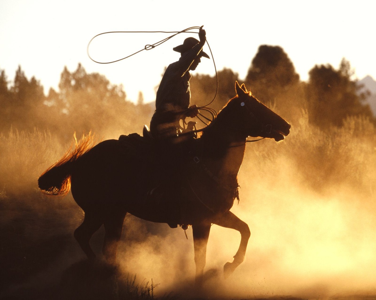 CowboyLasso.jpg