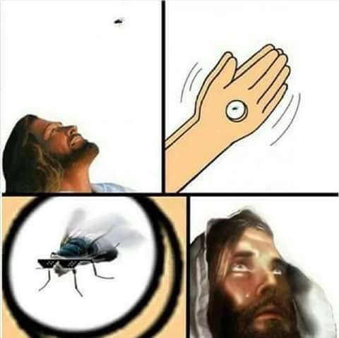 11898815_10203705903403049_7756206950156306283_n.jpg