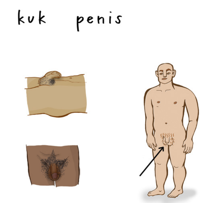 12635123.PNG