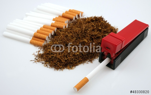 500_F_48330820_EgvemtCQmSUUYotACK5LdTcObNd037b8.jpg