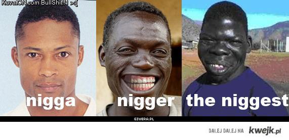 118250_nigga_nigger_the_niggest.jpg