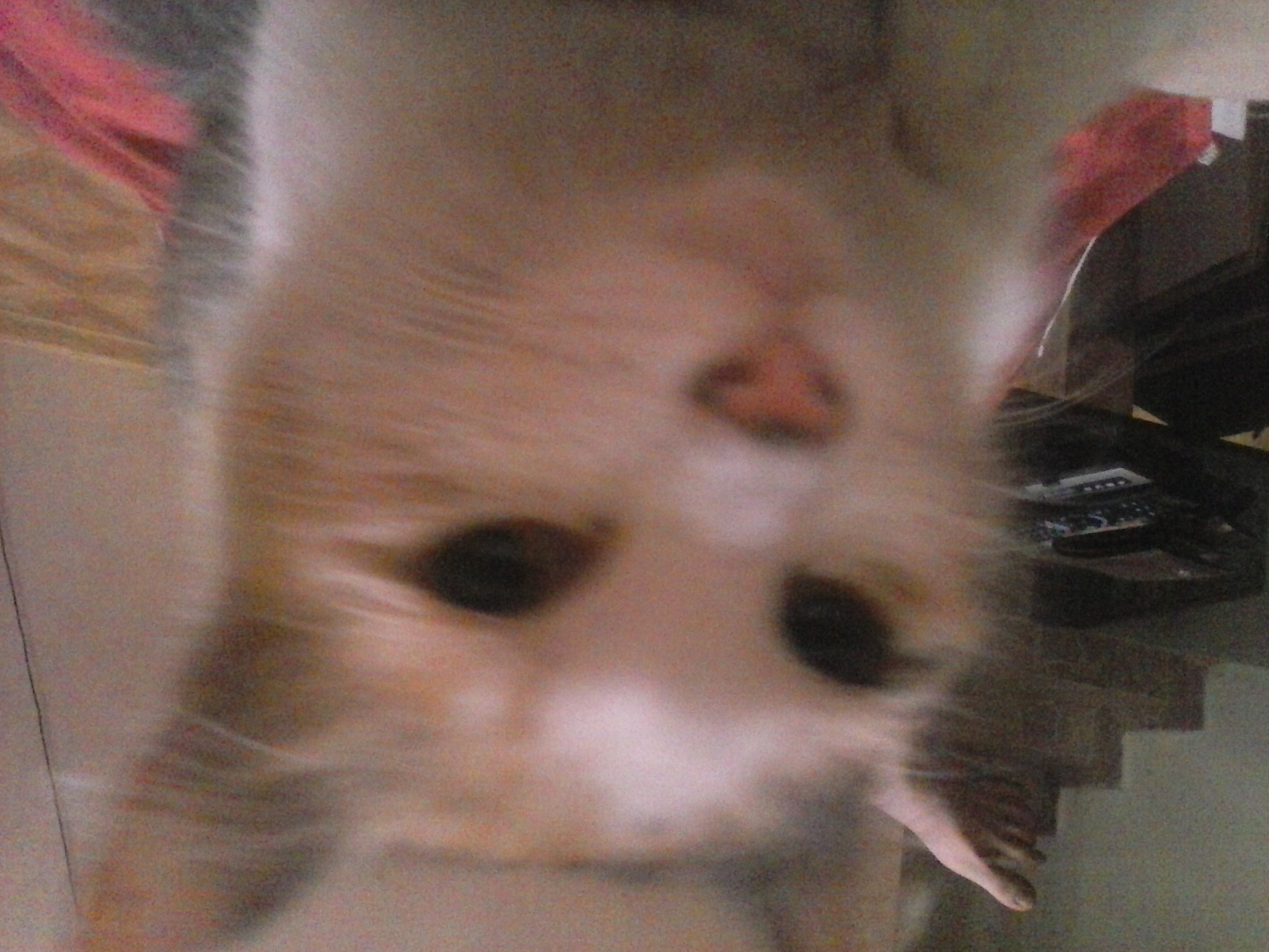 20160526_012602.jpg