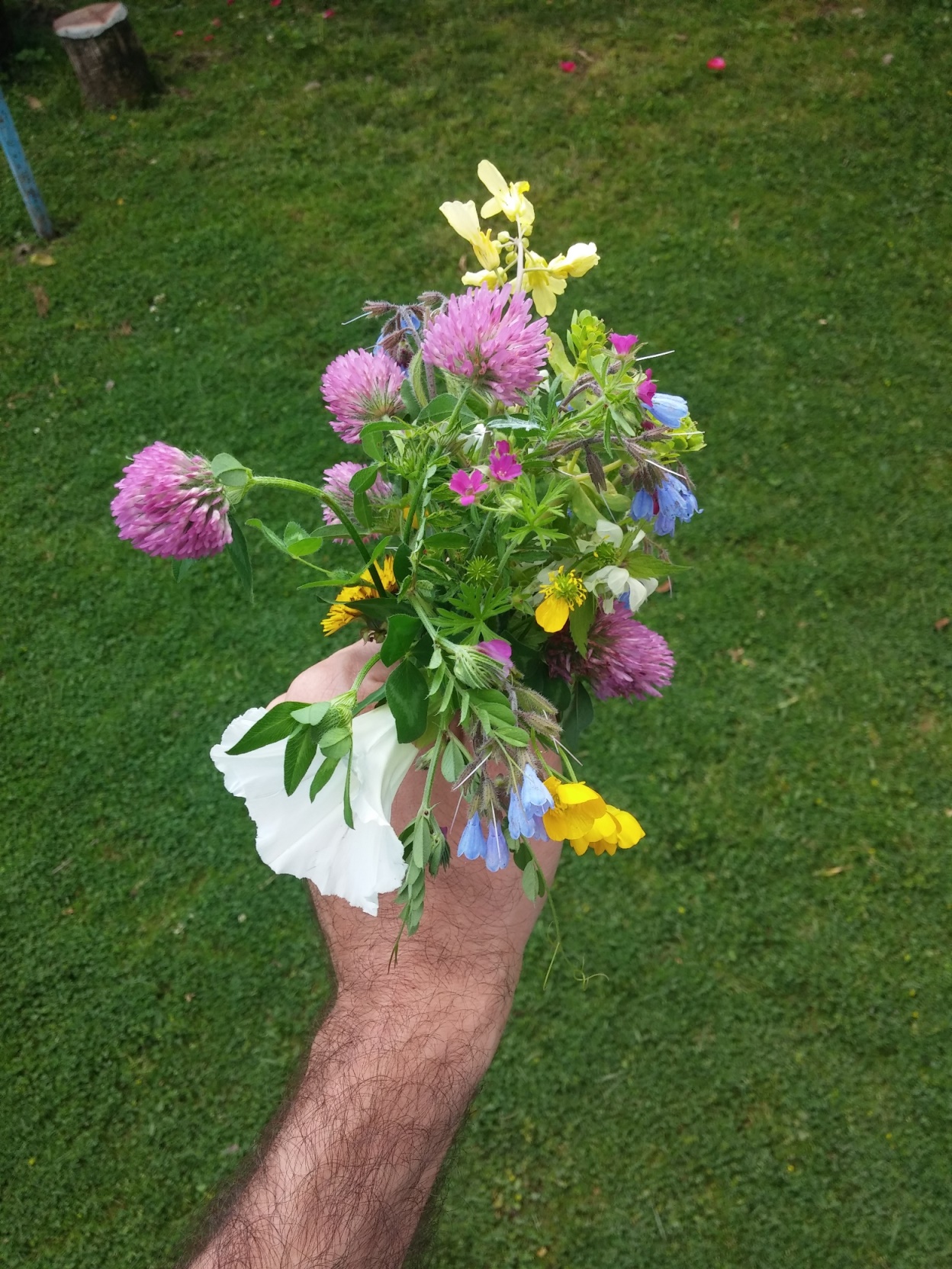 20160501_163320.jpg