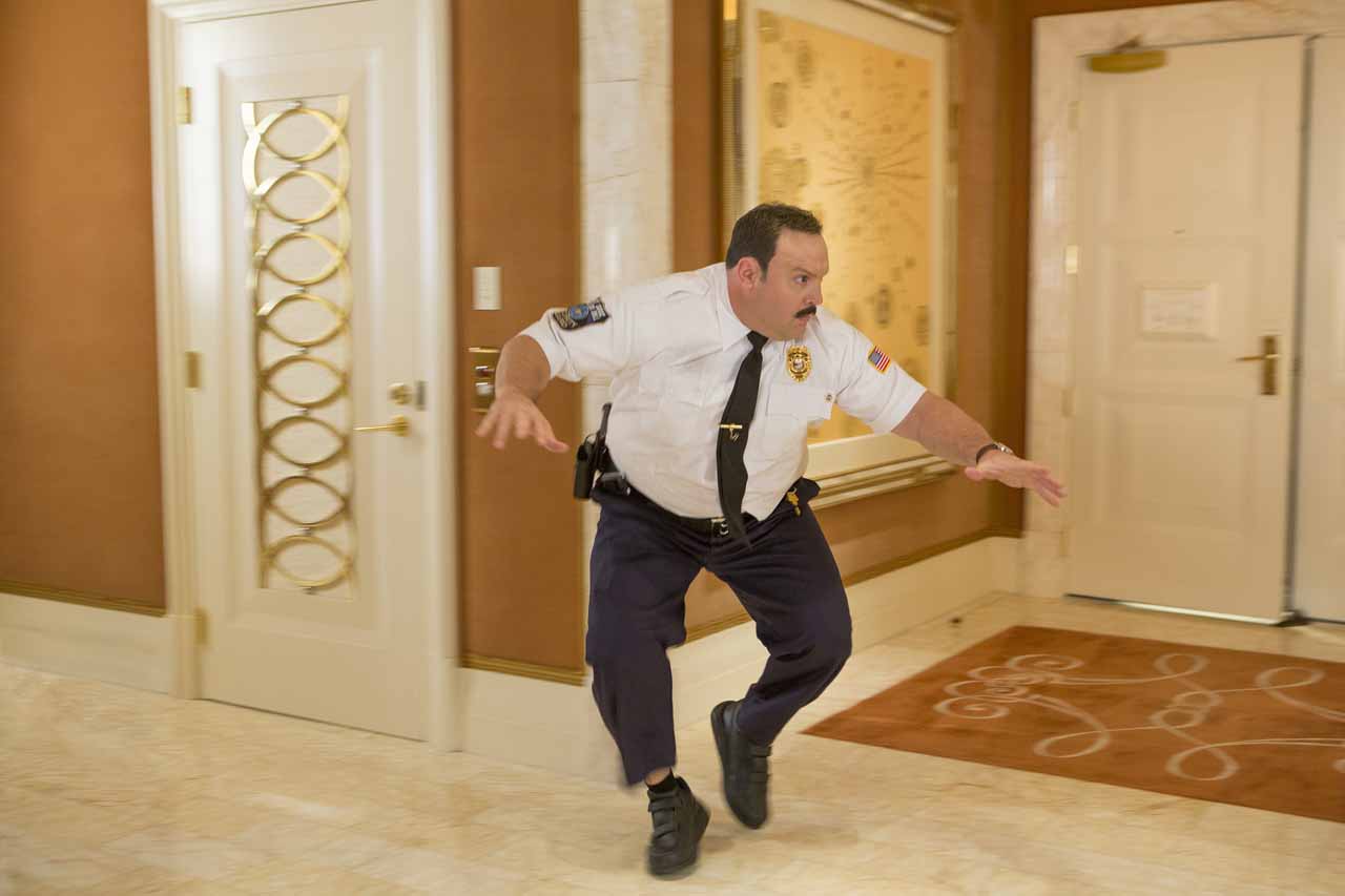 paulblart0001.jpg