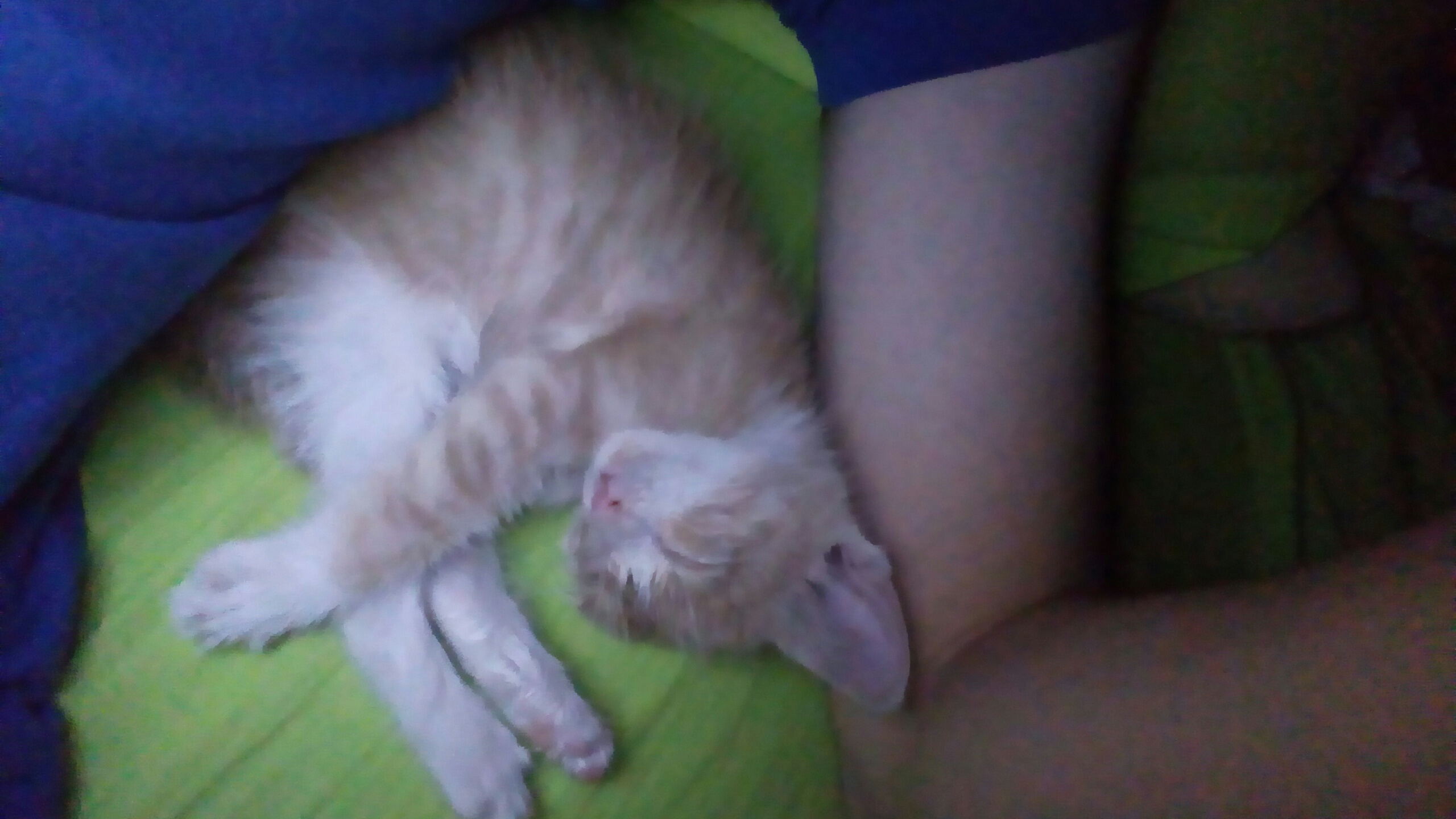 20160916_004701.jpg