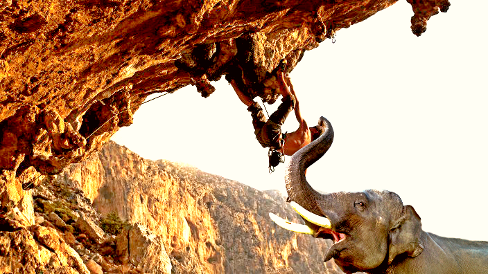 elefant.climing.png