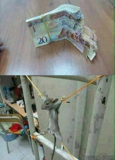 maus.jpg