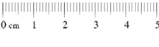 paper_rulers_mr_myers_classroom_homeschooling_pinterest_NceYVS_clipart.jpg