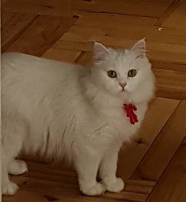 lusy.jpg
