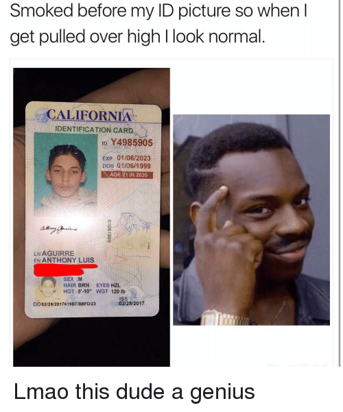 smoked_before_my_id_picture_so_when_get_pulled_over_15766314.png