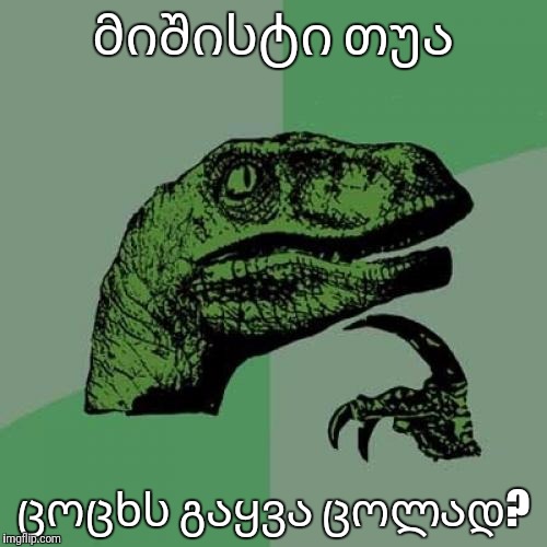 1vgsw2.jpg