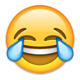d14754026e80cb4272cd5416278f673b__funny_faces_emojis.jpg