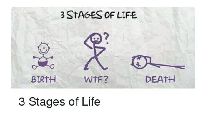 3_Stages_of_life.jpg