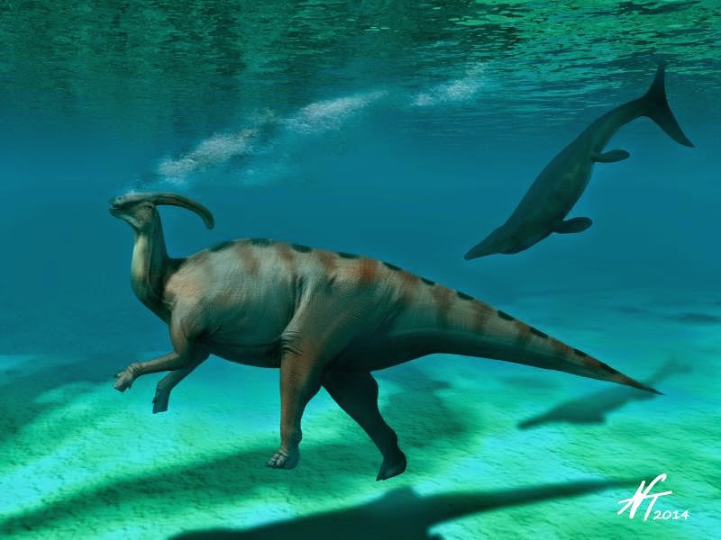 Parasaurolophus_swim_NT.jpg