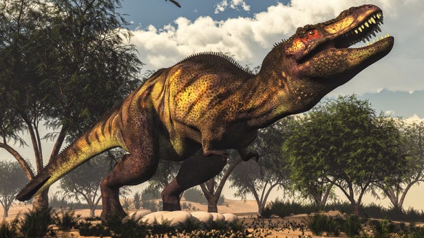 t_rex_3.jpg