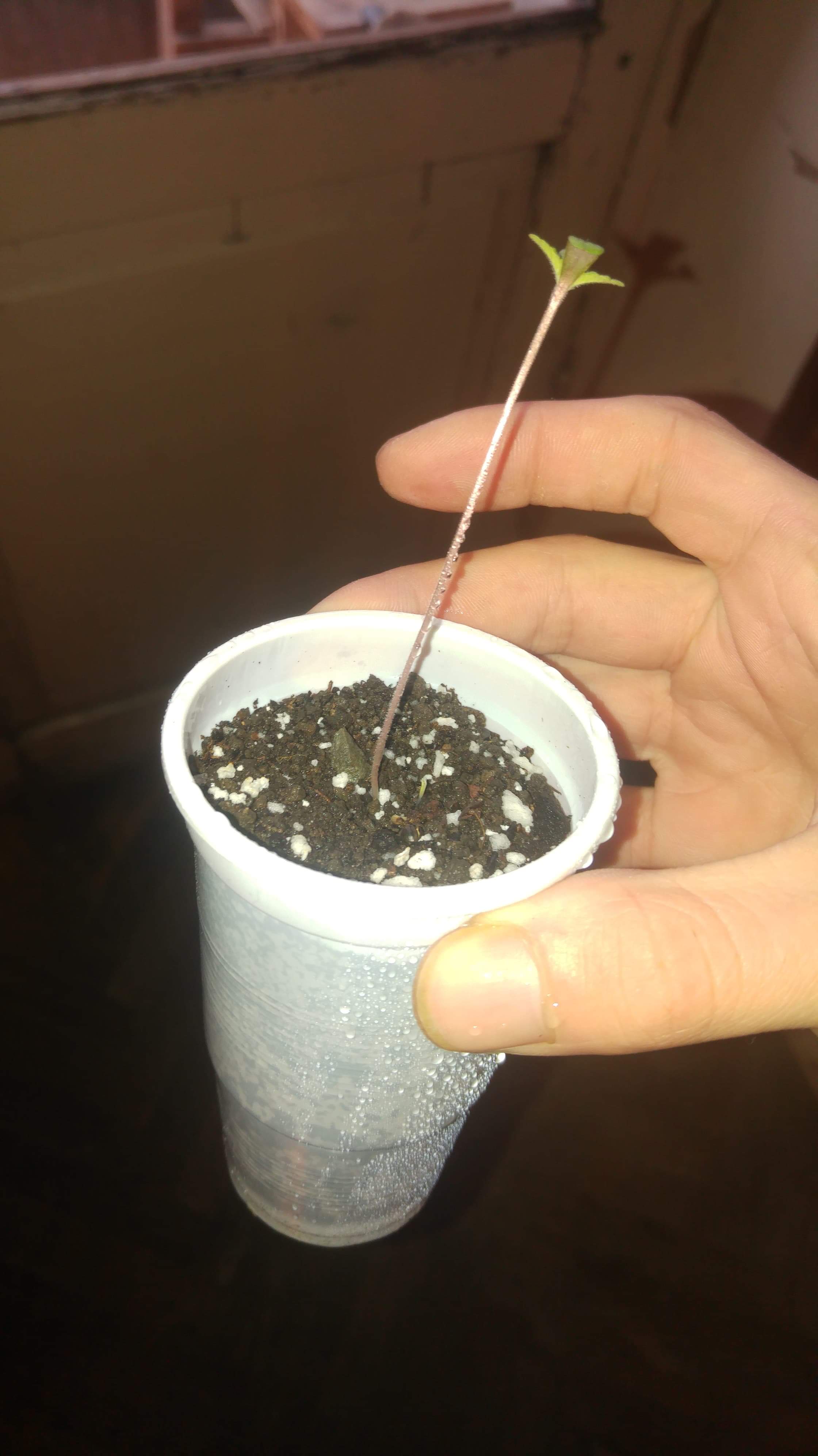 received_509891079420413.jpeg