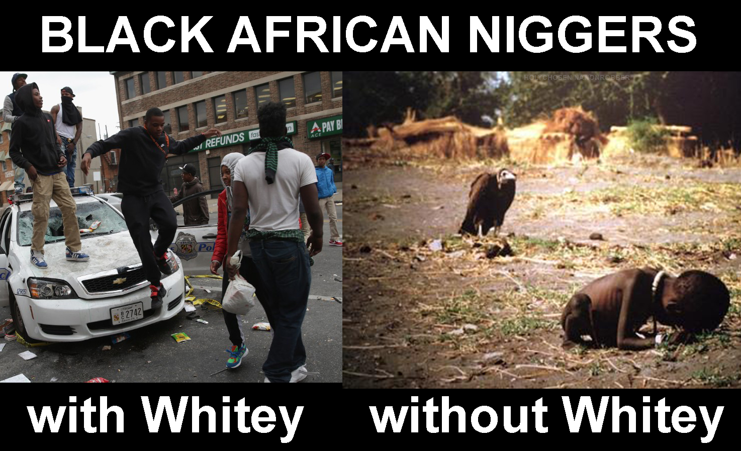 black_african_niggers_are_a_liability.jpg