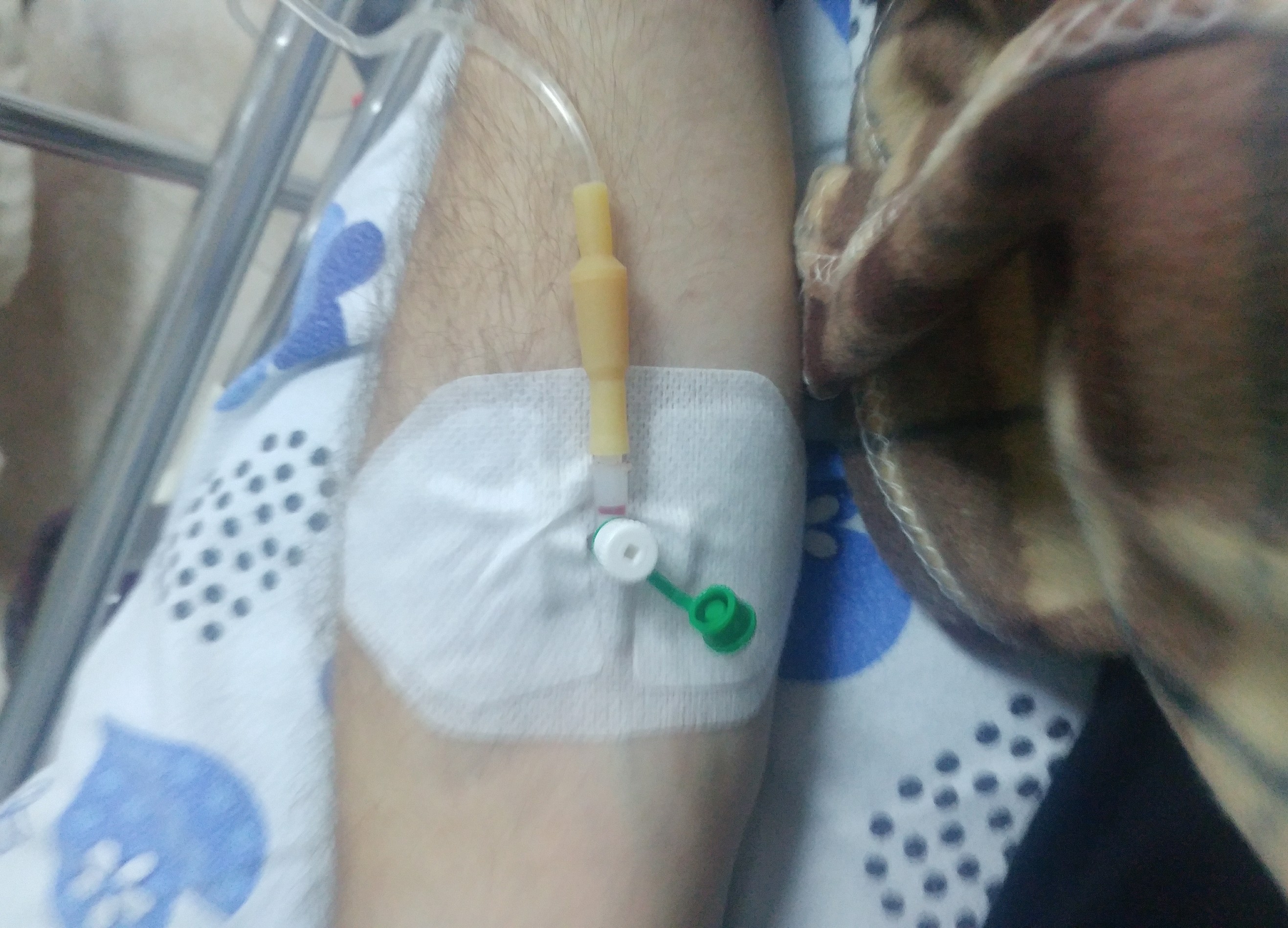 20190701_225728_1.jpg