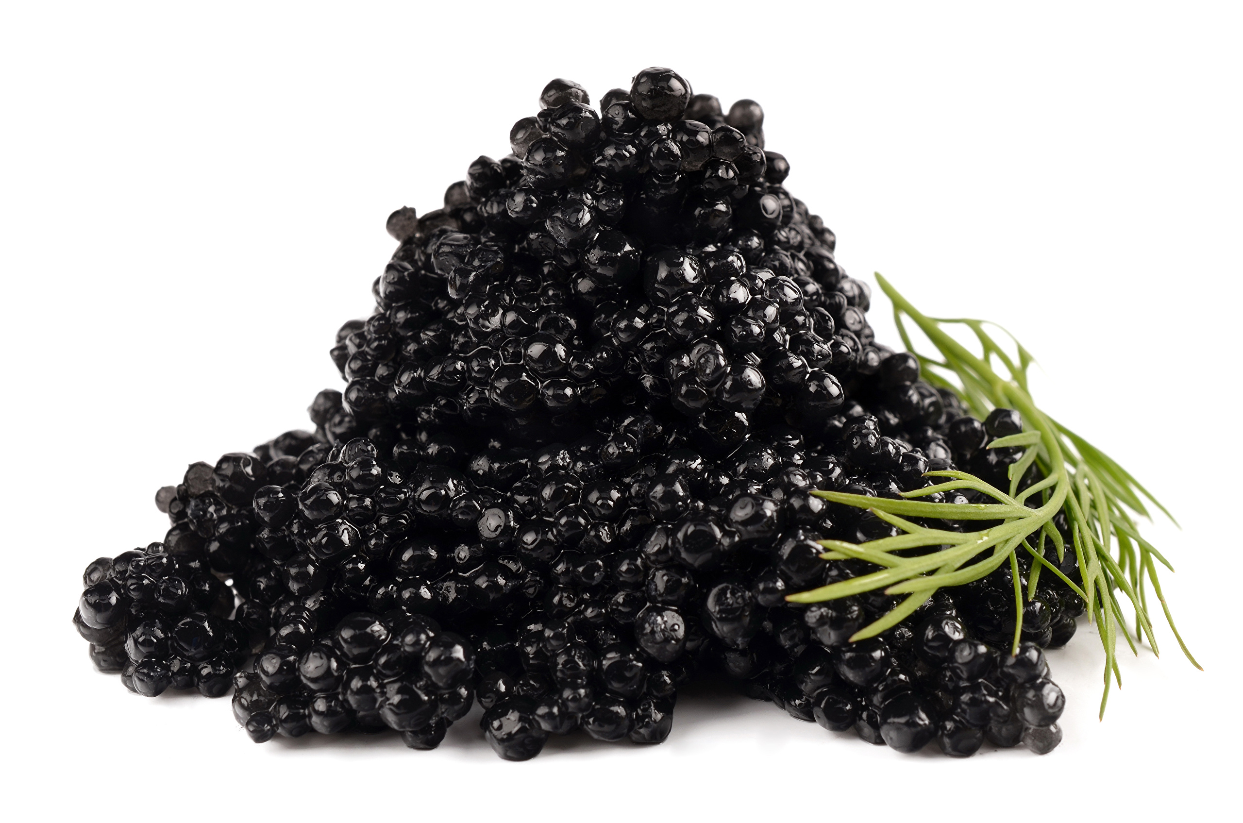 Caviar_Black_Grain_482730.jpg
