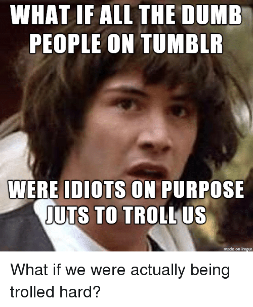 what_if_all_the_dumb_people_on_tumblr_were_idiots_2983255.png