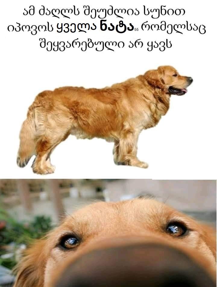 89146360_2992037637513336_4435878120645459968_n.jpg