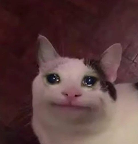 JHipIi6JiJnSH.jpg