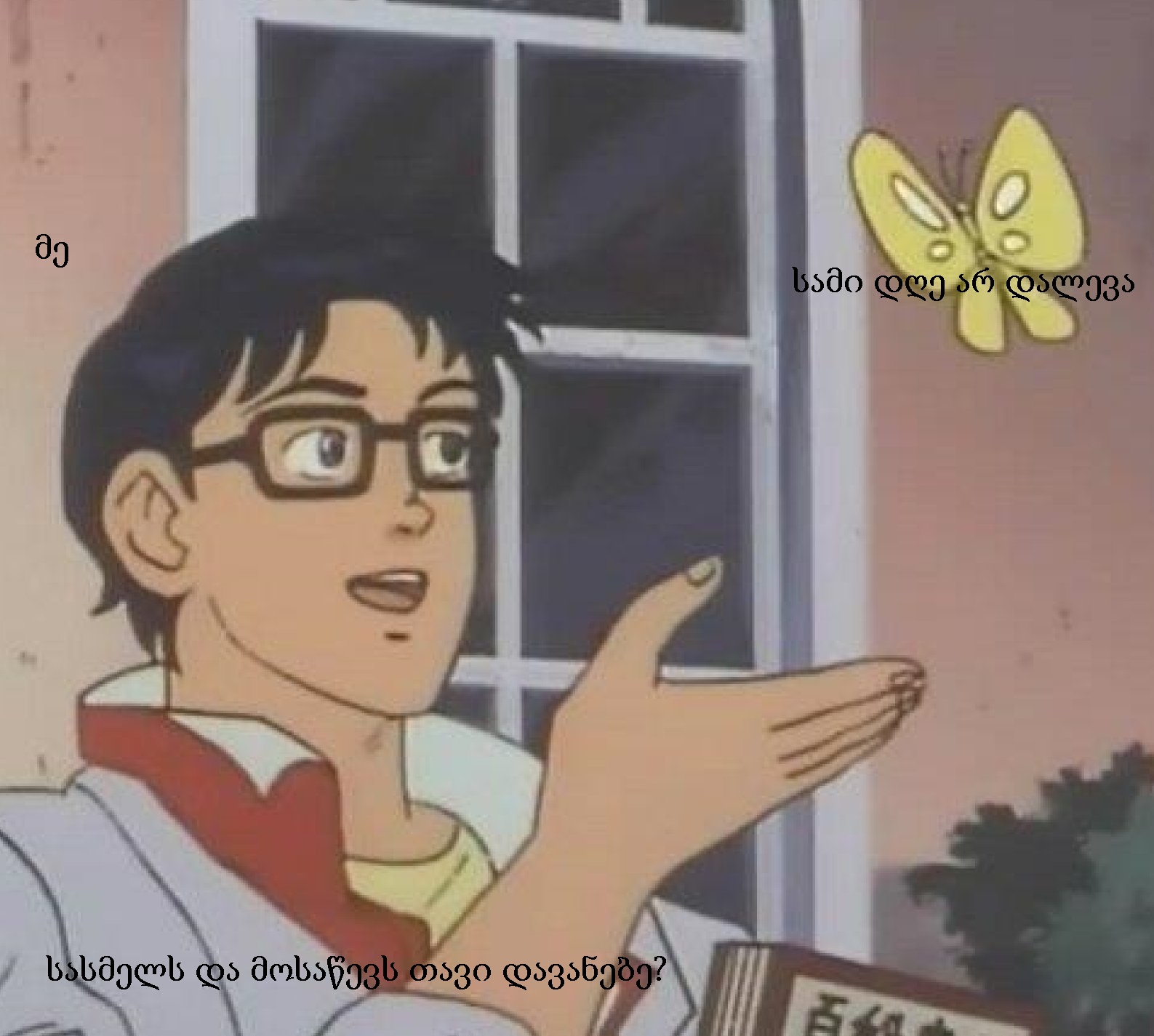 Is_This_A_Pigeon.jpg