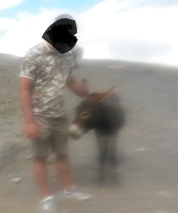 rterytertr.png