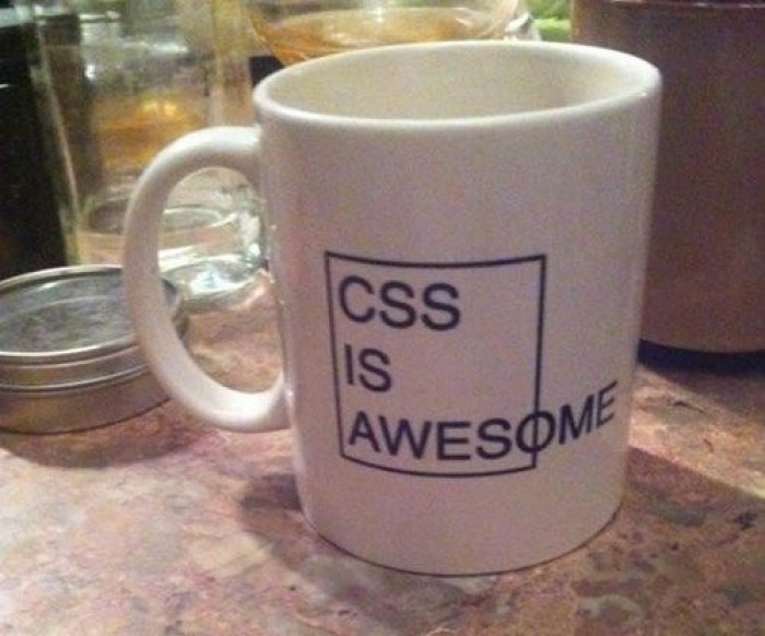 css.jpg
