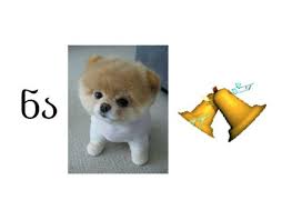 images.jpeg