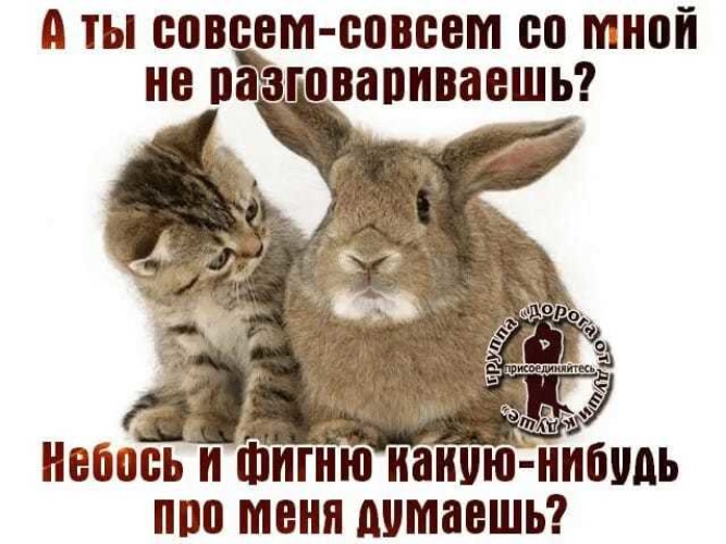 nebos.jpg