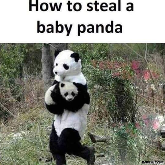 How_to_steal_a_baby_panda_meme_1599.png