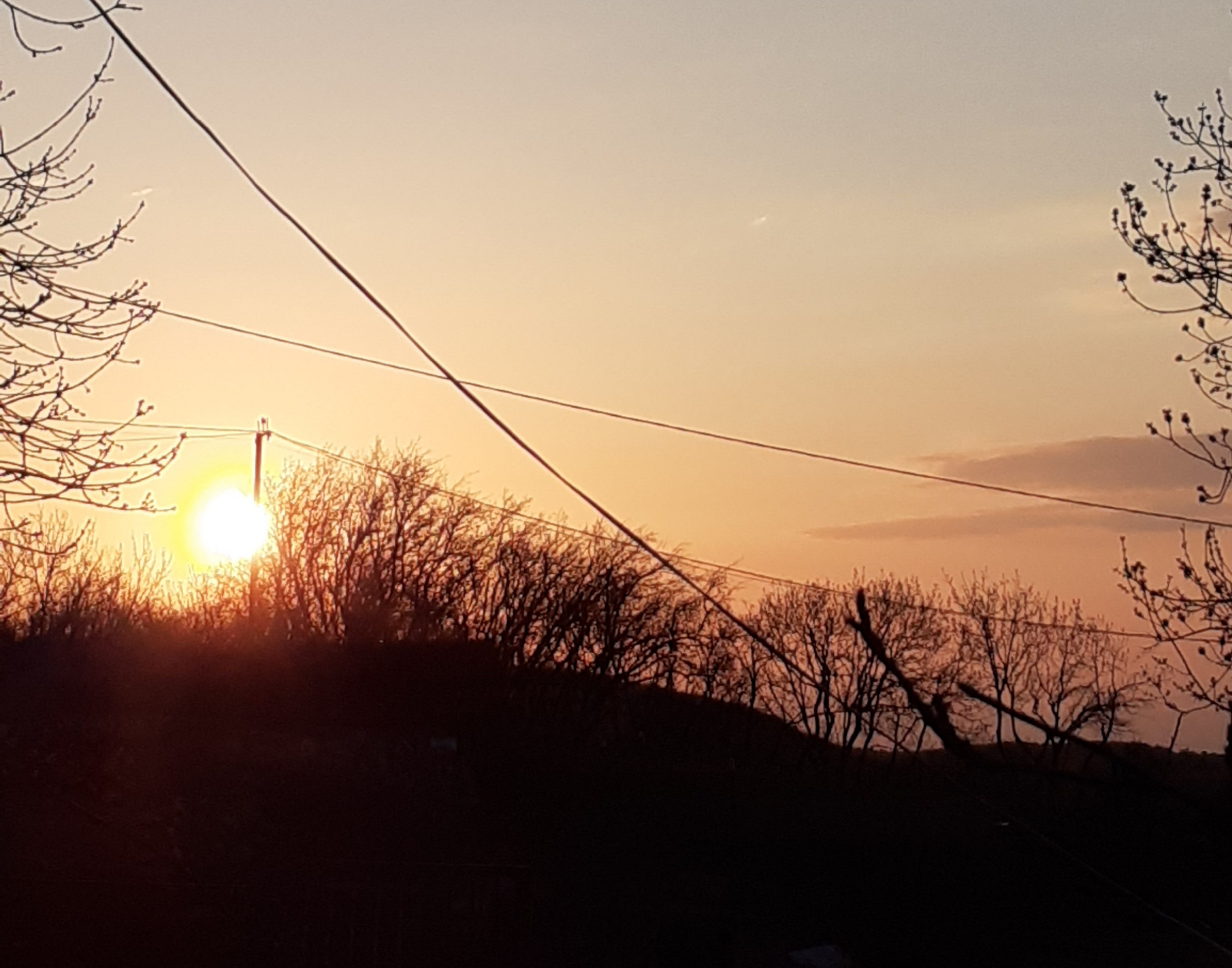 20210424_190348.jpg