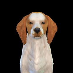 Luna_Charming__28AireDaleDogz_29.png