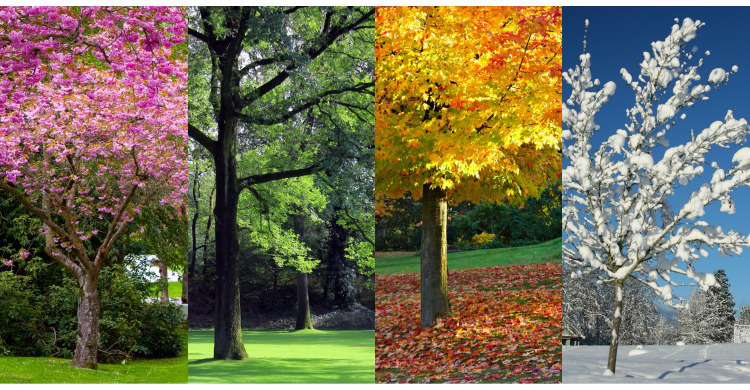 general_conference_lessons_from_nature_the_seasons_of_life.jpg