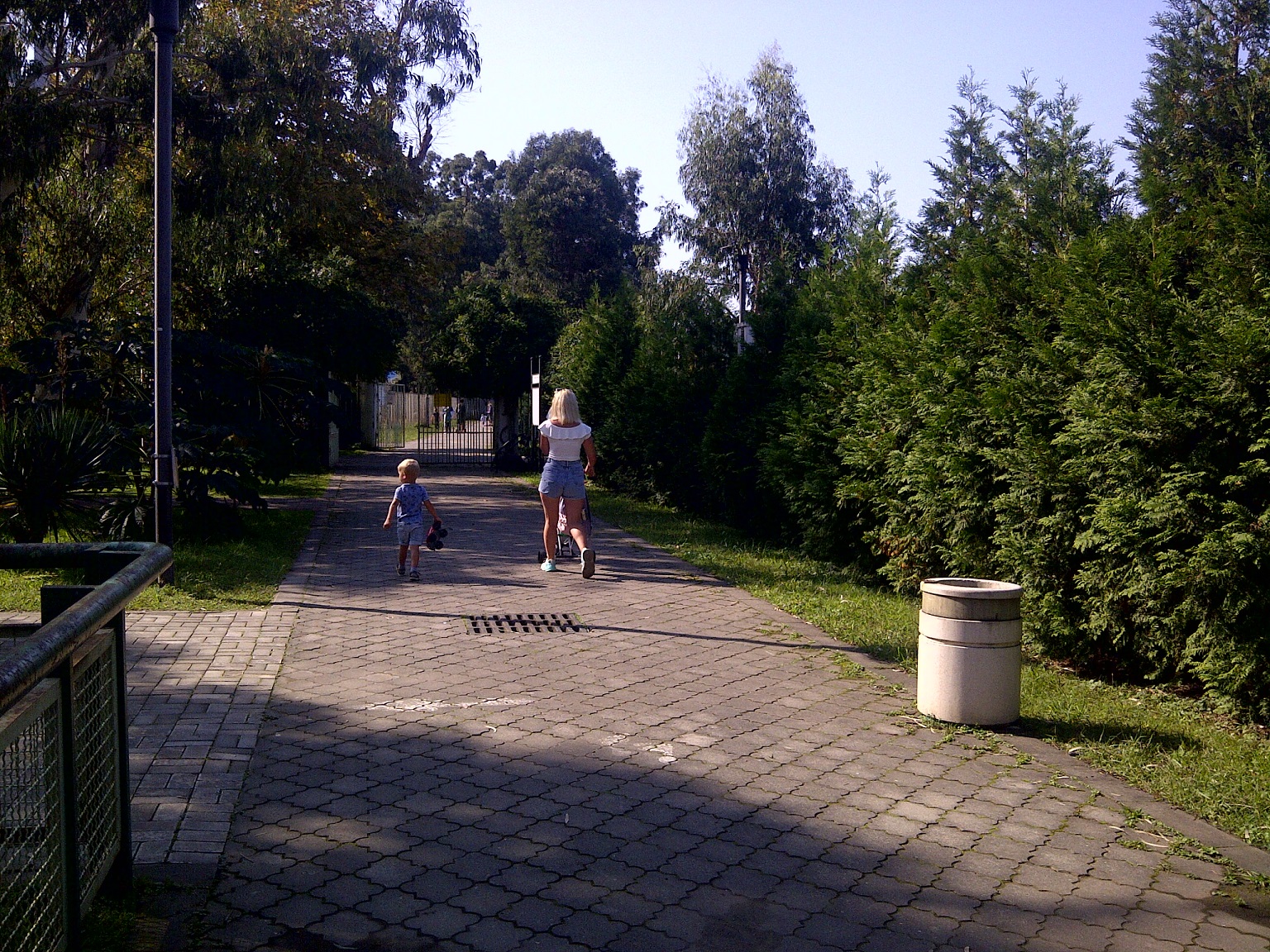 IMG_20211012_04028.jpg