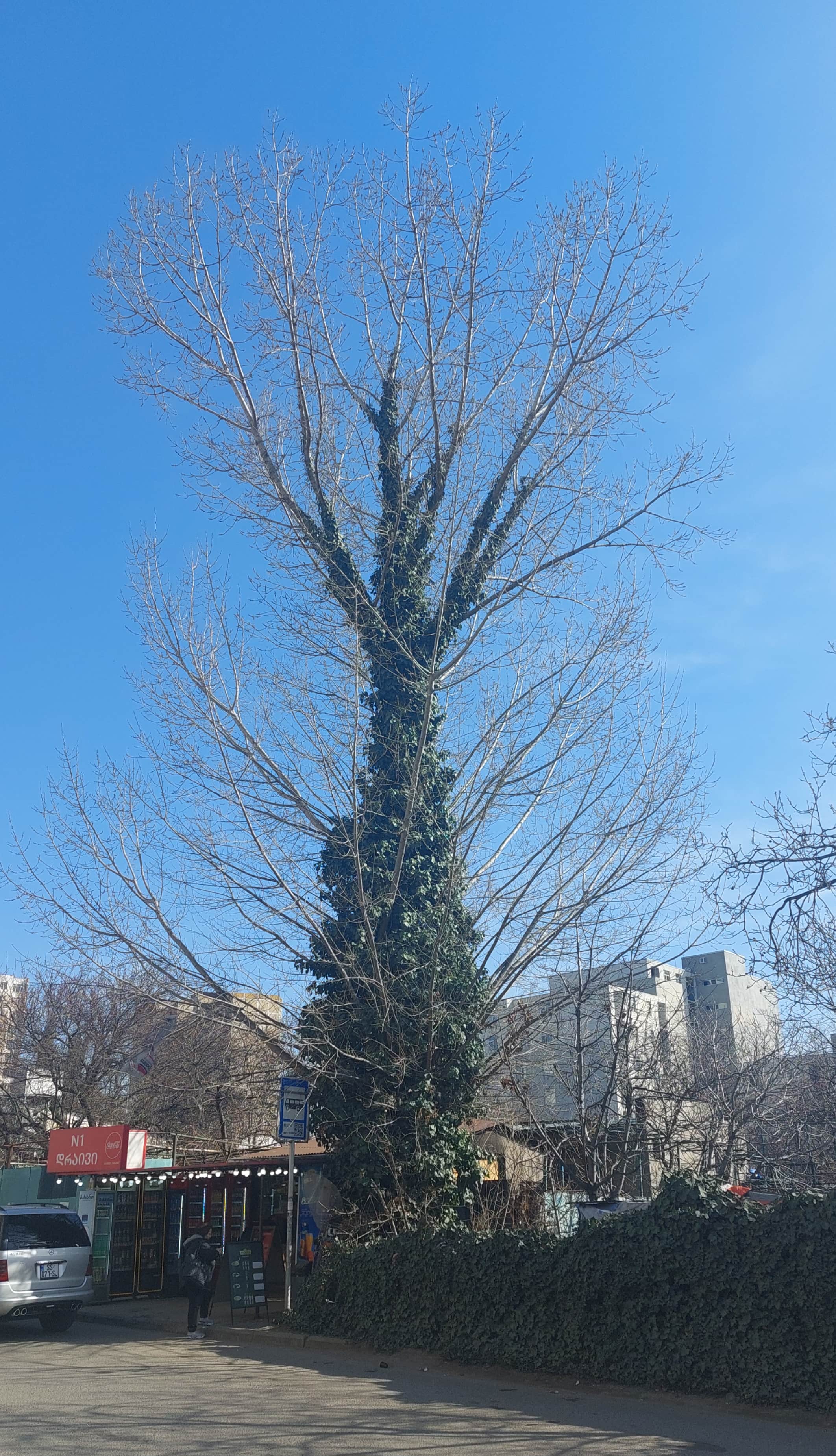 20230312_104249_min.jpg