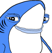 avatar.jpeg