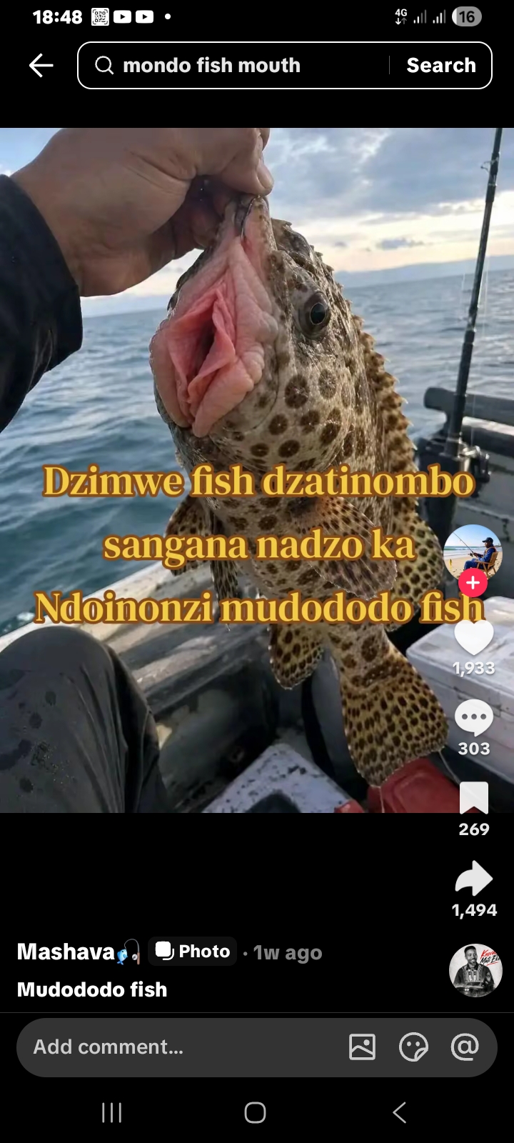 Screenshot_20260921_184852_TikTok.jpg