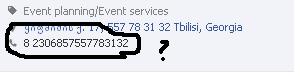 Telefoni.JPG