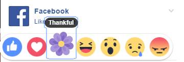 facebook.jpg