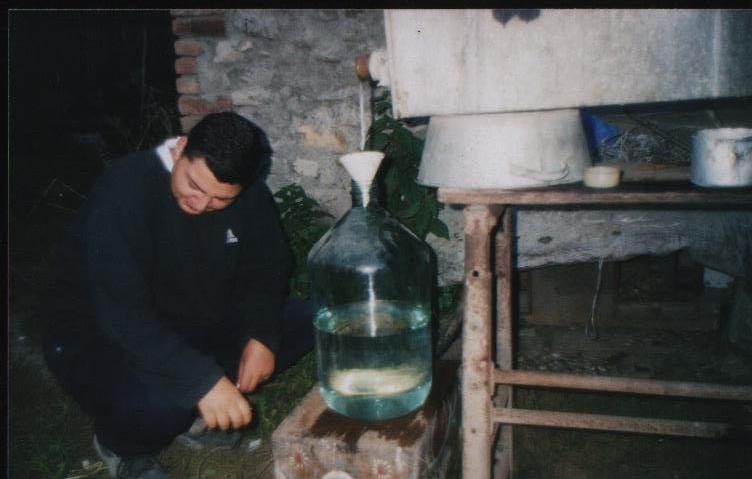 Picture_001.jpg