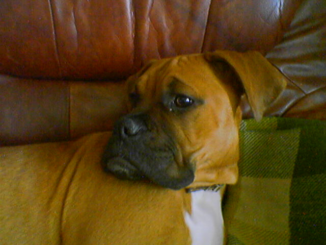 050411_170650.jpg