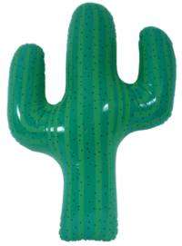 cactus.jpg