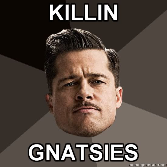 aldo_raine_killin_gnatsies.jpg